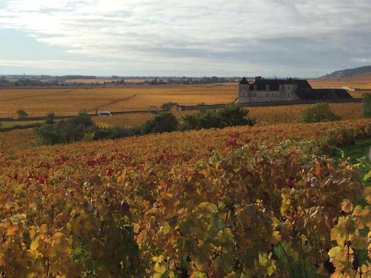 Les Hauts De Fixin, 50M2 Avec Exterieur Sur La Route Des Grands Crus, Dijon Sud Luaran gambar